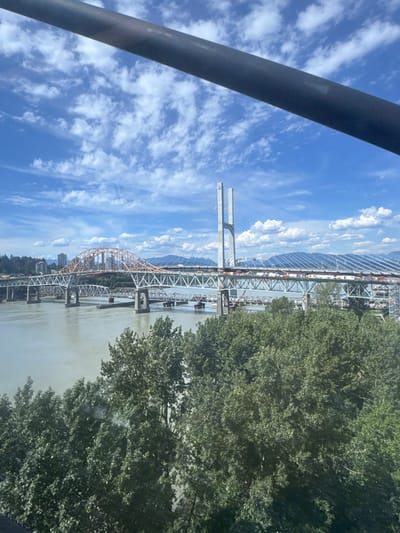 The image shows a panoramic view of multiple bridges spanning a wide, murky river under a bright blue sky dotted with fluffy white clouds. In the foreground, the tops of lush green trees are visible. The bridges are complex structures, including a distinct orange arched bridge in the middle distance, a modern cable-stayed bridge with tall white towers on the right, and a series of older truss bridges to the left and center. The river appears to be the Fraser River. In the background, a distant city skyline with buildings is visible, along with a range of hazy mountains. Construction or renovation activity is apparent on some of the bridges, with visible scaffolding and equipment. The perspective suggests the photo was taken from an elevated position, possibly from a cable car or high vantage point. The scene is set in the city of New Westminster, Canada, known for its historical bridges over the Fraser River.