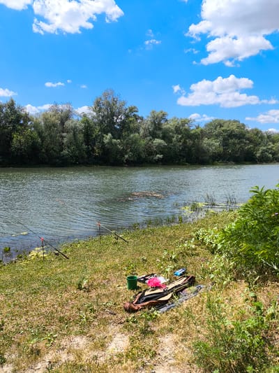 The image shows a serene riverbank scene on a sunny day. The river, with its rippling surface, flows gently, bordered by a dense line of green trees on the opposite bank. The foreground is a grassy embankment dotted with sparse vegetation and some sandy patches. Several fishing rods are set up, angled towards the water, suggesting active fishing. On the grass, a fishing bag, a green bucket, and other fishing accessories are laid out, indicating a prepared fishing spot. The sky above is a vibrant blue, adorned with fluffy white clouds. The overall impression is one of a peaceful, outdoor recreational activity by a natural body of water. This scene is located in Заплавская, Russia.