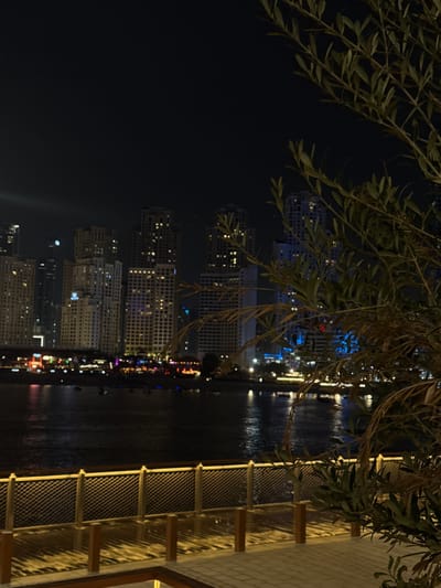 This nighttime shot, likely taken in دبي, United Arab Emirates, is oriented vertically and features a cityscape beyond a body of water. The cityscape consists of several illuminated high-rise buildings with numerous windows and lights visible. The water reflects some of these lights, creating shimmering patterns on its surface. In the foreground, a section of a walkway or terrace is visible, constructed with light-colored materials and featuring a railing with a grid-like design. Overhanging from the top of the frame, branches with leaves are present, partially obscuring the view of the cityscape. The overall atmosphere is dark, with the city lights contrasting against the night sky.