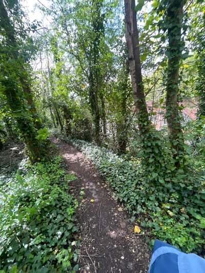 This image, oriented vertically, captures a narrow, unpaved dirt path winding through a densely wooded environment. Tall trees line both sides of the trail, their trunks and branches heavily covered in vibrant green ivy. The canopy above is thick with foliage, allowing bright sunlight to filter through in dappled patches, illuminating the path and undergrowth.

The path itself is dark earth, appearing somewhat worn, with scattered fallen leaves and debris. Extensive green ivy and other small plants form a dense ground cover alongside the path. In the middle distance, partially obscured by the trees and leaves, a reddish-brown structure, possibly a building or wall, can be faintly seen. On the far right edge of the foreground, a section of blue fabric, resembling a piece of clothing or a bag, is visible, suggesting the presence of a person either standing or walking along the path.

The bright light and clear shadows indicate a sunny daytime. The overall scene suggests a tranquil and natural setting, likely a walking trail or woodland path. No visible text is present in the image. The location context suggests this is a typical scene found in the natural areas of Portsmouth, United Kingdom.