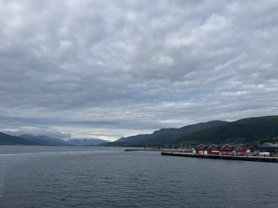 The image shows a waterfront scene in Nesna, Norway, under a cloudy sky. In the foreground, a dark, rippling body of water dominates the lower half of the frame. Along the right side of the image, a pier extends into the water, lined with several red buildings that appear to be boathouses or workshops, each with multiple dormer windows and dark roofs. A few figures are visible walking along the pier. Moored boats, primarily sailboats with tall masts, are docked behind the red buildings. Further out in the water, several larger ships are visible in the distance. The background features a range of mountains, with some peaks appearing snow-capped, and lush green slopes leading down to the water's edge. The overall atmosphere is overcast and somber.
