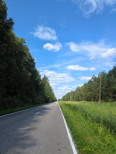 The image depicts a rural asphalt road stretching into the distance, bordered by a dense forest on the left and lush green grass with some yellow wildflowers on the right. The road has white lane markings, indicating it is a paved surface. The sky is a vibrant blue, dotted with scattered white cumulus clouds, suggesting a clear and pleasant day. The sun appears to be high in the sky, casting shadows of the trees onto the road, indicating it is likely midday or early afternoon. The overall scene conveys a sense of tranquility and natural beauty. There is no visible text in the image. The location context suggests this is a road in a rural area of Russia, likely a country road or highway traversing a forested region. The environment appears natural and unpopulated, with no people or vehicles visible in the immediate frame.