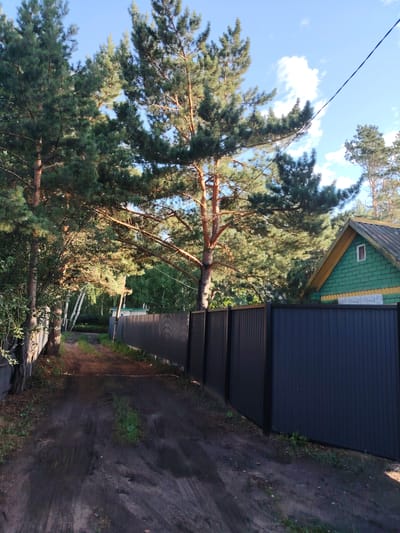 The image depicts a dirt road leading into a wooded area, bordered by a dark metal fence on the right and a fence with trees and foliage on the left. A green house with a yellow trim and a small white window is visible behind the metal fence on the right. Pine trees dominate the foreground and midground, with sunlight filtering through their branches. The sky above is blue with scattered white clouds. The scene appears to be a rural or suburban setting, possibly within the city of Petropavl, Kazakhstan. No people are visible in the image, and there are no overt actions or interactions taking place. The environment is natural with man-made structures.