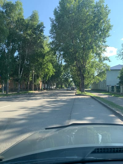 The image shows a street scene in Yurga, Russia. On the left side of the road, there are several buildings with a reddish-brown facade, interspersed with a dense line of birch trees. The road itself is asphalt, with a white line marking the lane. On the right side of the road, there is a sidewalk bordered by grass, followed by a light-colored building with a dark roof, and a green metal fence. A line of large trees with full green foliage shades the road. In the distance, several cars are visible on the road. The sky is clear blue with a few wispy clouds. The perspective is from the interior of a vehicle, with the hood and windshield visible in the foreground.