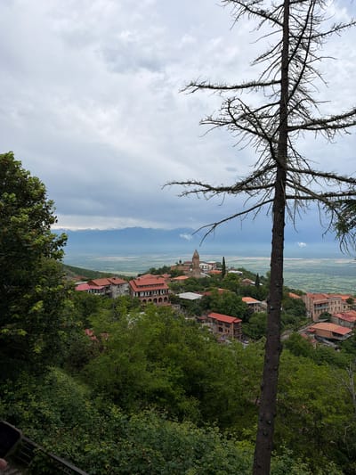 The image shows a view of the town of Sighnaghi, Georgia, from a higher vantage point. In the foreground, a tall, bare tree trunk stands prominently. Beyond the tree, the town is visible with its characteristic red-tiled roofs and stone buildings nestled into the hillside. A prominent bell tower rises above the cluster of buildings. In the background, a vast plain stretches out towards a distant mountain range, which appears snow-capped under a cloudy sky. The environment is predominantly green, with lush foliage surrounding the town and the foreground tree. There are no people visible in the image. The scene conveys a sense of historic architecture set within a natural landscape.