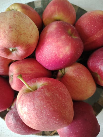 A close-up, overhead shot displays a collection of red apples in a bowl. The apples are varied in color, ranging from bright red to a lighter pinkish-red, with some showing yellow undertones and small white speckles. One apple in the foreground, slightly off-center to the left, has a stem. The background consists of a patterned surface, possibly a bowl or a table, with muted colors. The scene is well-lit, highlighting the texture and sheen of the apple skins. There are no people or animals present, and the setting appears to be indoors. The city of Кривец, Russia, is not depicted or suggested in this image.
