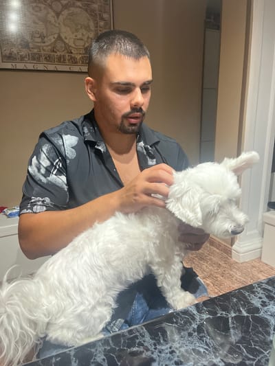 The image shows a man and a small white dog indoors. The man, who appears to be in his late 20s or early 30s, has short dark hair and a beard, and is wearing a dark shirt with a white and gray abstract pattern. He is holding the dog, which is fluffy and white, on his lap. The dog is facing to the right and appears to be looking away from the camera. The man's hands are near the dog's head.

The background includes a wall with a framed map on it, featuring what appears to be an old-style world map. To the right of the man, there is a doorway with a white trim and a wall. The floor in the foreground is a dark, marbled surface. The overall lighting suggests an indoor setting, possibly a home. There are no visible indications of the city of Puçol, Spain, in the image.