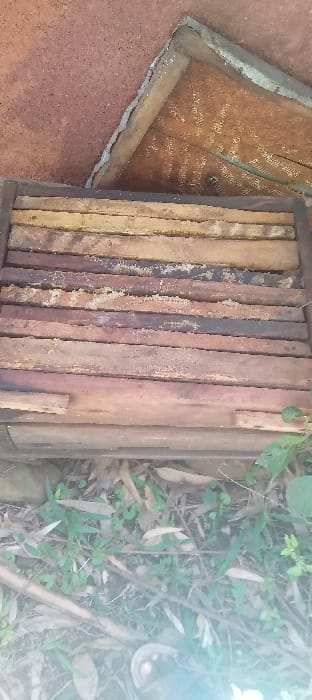 The image depicts an outdoor scene in Getenga ward, Kenya. The primary subject is a rectangular wooden structure, oriented horizontally, composed of approximately 13-14 parallel wooden planks of varying shades of brown and yellow-brown. Several planks exhibit visible remnants of white or yellowish honeycomb wax. This structure appears to be a section of a traditional beehive or an apiary frame.
In the upper background, a reddish-brown textured surface, consistent with packed earth or a mud wall, is visible. To the upper right, an angled corner of a wooden frame encases a lighter, woven or textured material, possibly part of a roof or another structure.
The lower foreground shows a patch of ground covered with sparse green foliage, dried leaves, and small twigs. A dark, partially obscured object is present in the lower right, with a strong light reflection emanating from this area. No individuals are present, and no actions or interactions are depicted. The environment suggests an agricultural or rural setting.