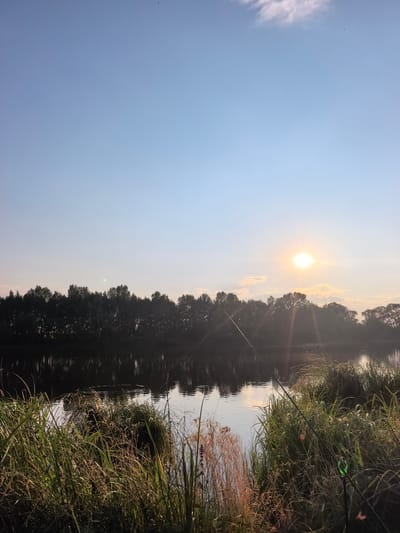 The image depicts a serene natural scene by a body of water, likely a river or lake, in the village of Kuzminovka, Russia. The time appears to be early morning or late afternoon, indicated by the low sun casting a warm glow and creating visible light rays. A line of trees forms a dark silhouette against the horizon, reflected in the calm water. The foreground is dominated by tall, dry grasses and reeds, suggesting a rural or semi-wild setting. Two fishing rods are visible, planted in the ground and angled towards the water, implying that someone is engaged in or has been engaged in fishing. The sky is a clear, pale blue with a few wispy clouds. The overall atmosphere is peaceful and tranquil.