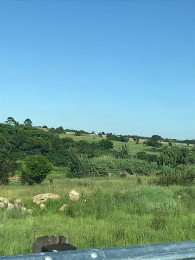 A landscape view shows a blue sky occupying the left side of the frame. The right side reveals a grassy field dotted with trees and vegetation. A gray metal railing or structure is visible on the far right edge. In the distance, a tall, thin tower-like structure rises above the trees. The scene appears to be shot from a slightly elevated position, possibly a bridge or higher ground. Rocks are scattered in the foreground, adding texture to the grassy area.