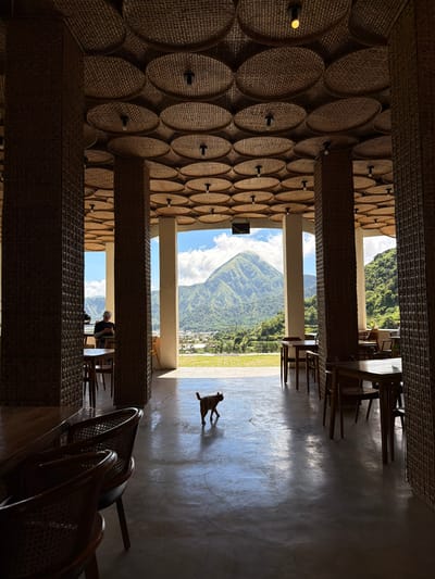 The image shows an interior space in Sembalun Bumbung, Indonesia. The walls are decorated with woven circular objects. The scene includes tables and chairs. A person is sitting at a table in the background. A dog is running through the space towards an open area with a view of a mountain and village. The view is framed by columns and the interior design.