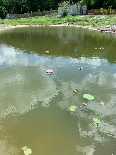 The image depicts a serene pond or lake with several floating decorative lotus flowers. The flowers are scattered across the water's surface in various colors including pink, orange, and white. Some natural lotus leaves are also visible. The water is calm, reflecting the cloudy sky, suggesting an overcast or partly cloudy day. The bank of the pond is lined with lush green grass and vegetation, with a rustic wooden fence running along it. In the background, several large shipping containers are stacked near the edge of the property. The overall scene evokes a sense of tranquility and natural beauty, possibly a park or a private garden setting in Vasilyevka, Russia. There is no visible text in the image.