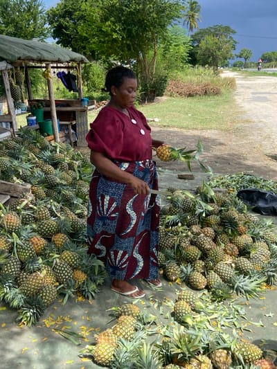 The image shows a woman standing in front of a small stall, located on a dirt road in Bagamoyo, Tanzania (latitude: -6.472, longitude: 38.911). She is wearing a red shirt and a colorful patterned skirt. She is holding a pineapple in her right hand and a knife in her left. She is standing in a pile of pineapples, some of which have been cut open. There is a wooden stall behind her, with several blue plastic buckets visible. There are green trees in the background and a dirt road to the right. The ground is covered with leaves and dirt. The woman appears to be selling pineapples.