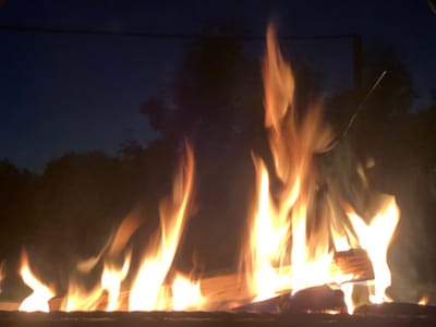 A campfire burns brightly in the dark, with flames reaching upwards. The background consists of silhouetted trees and a dark blue night sky. A thin, dark wire stretches horizontally across the upper portion of the image. The scene appears to be outdoors, possibly in a park or backyard area.