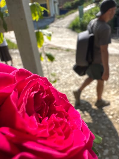 The image captures a vibrant, close-up view of a deep pink rose in the foreground, sharply in focus and occupying the lower right section of a tilted frame. Its numerous velvety petals, illuminated by bright sunlight, show rich texture and variations in hue. In the blurred background, a person is visible, positioned diagonally across the upper left. This individual wears a dark cap, a grey t-shirt, and dark shorts or pants, with a dark object near their hip. They appear to be standing or walking on a light-colored, textured ground that casts subtle shadows, indicating bright daylight, likely morning or late afternoon. A light-colored, possibly concrete, railing or low wall crosses the image horizontally in the lower-mid section, partially separating the rose from the background. Out-of-focus green foliage is also present in the background, suggesting an outdoor garden or pathway setting in Thông Nguyên Commune, Vietnam. The shallow depth of field draws attention to the detailed rose, contrasting with the indistinct background. No text is visible.