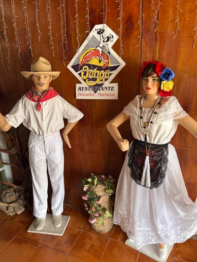 The image captures a scene showcasing two mannequins dressed in traditional Mexican attire, likely positioned as decorative elements for a restaurant or a cultural display in Veracruz City, Mexico. The background consists of wood paneling adorned with strings of fairy lights.
The top mannequin is a woman, dressed in a white dress with lace detailing, accented by a black sash embroidered with flowers and holding a white fan. She wears a vibrant headdress with blue, yellow, and red roses. Her neck is adorned with pearl necklaces.
The bottom mannequin is a man, wearing a white suit, a straw hat, and a red neck scarf.
Positioned between the two mannequins is a sign for a seafood restaurant. A log with flowering branches and vines provides additional decoration.
