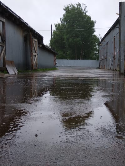 The image depicts an outdoor scene in Pargolovo, Russia, on a cloudy day with visible rain. The foreground is dominated by a wet asphalt surface with numerous puddles reflecting the overcast sky and the surrounding structures. To the left and right, there are industrial-style buildings with corrugated metal siding and wooden doors. The building on the left features a large wooden door and some wooden planks leaning against it. The building on the right has a row of similar garage-like doors. In the background, a large deciduous tree with dense green foliage stands prominently, and behind it, a metal fence stretches across the width of the scene. A thin, dark chimney pipe is visible emerging from behind the left building. The overall atmosphere is damp and somewhat bleak due to the weather conditions.