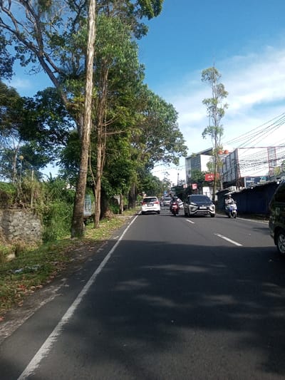The image captures a daytime street scene in Phonengam, Laos, under a clear blue sky with scattered white clouds. The perspective is from the left side of a paved asphalt road, looking forward into traffic.

On the left, a dirt shoulder with scattered leaves and sparse green growth adjoins a grey stone retaining wall. Behind the wall, dense green foliage and multiple tall trees with light-colored, partly peeling bark rise upwards. A light-colored structure with a railing is partially visible behind the trees.

The asphalt road features a solid white line delineating its left edge. Several vehicles are present. In the mid-ground, a white SUV/MPV is seen from the rear, and a dark-colored SUV/MPV is visible from the front. At least three motorcycles are also in traffic; one reddish-brown motorcycle is behind the dark SUV, and a light blue/grey scooter is on the far right. Riders on the motorcycles wear helmets. A partial view of a dark-colored vehicle is visible in the extreme foreground on the right.

The right side of the road is bordered by commercial buildings. A dark, multi-story building is visible, alongside a white building featuring "J&T" and partially visible "PESONA" signage. A tall, slender tree with sparse foliage stands in front of the white building. Numerous overhead power lines and cables crisscross the sky above the buildings. Shadows from trees are cast across the road surface.