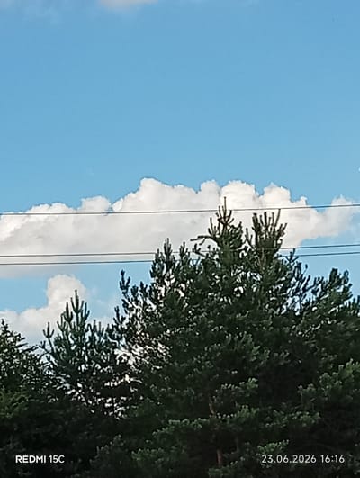 This is a medium shot of a forest canopy against a blue sky with white clouds. The trees appear to be pine trees, with their needles filling the lower half of the frame. Two power lines run horizontally across the image, above the treeline. The sky is bright blue with scattered white, puffy clouds. The lighting suggests it is daytime, likely midday or afternoon. The overall scene is natural and serene.
Text visible in the image includes:
- "REDMI 15C" in the bottom left corner.
- "23.06.2026 16:16" in the bottom right corner.