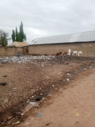 The image depicts a neglected urban area in what appears to be Nigeria, possibly within the city area 0801712591. A large plot of land is covered in accumulated garbage, including plastic bags and other refuse. Several goats graze amidst the trash.
In the background, a man stands near a brick wall and an adjacent building with a corrugated metal roof. Other buildings and tall, thin trees are also visible in the background. The foreground shows a dirt road littered with debris. The sky is overcast and grey. The overall scene suggests poverty and inadequate waste management infrastructure.