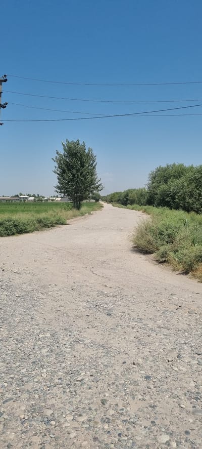 A wide, unpaved dirt and gravel road curves into the distance under a clear, bright blue sky. On the left side of the road, there is a field of green grass with some buildings visible in the far distance, possibly agricultural structures or homes. A lone, mature deciduous tree with dense green foliage stands prominently near the edge of the road, closer to the viewer. On the right side of the road, there are dense bushes and trees. Overhead, power lines are strung between poles, the pole on the left being partially visible. The overall scene depicts a rural or semi-rural landscape in Хаваскор, Tajikistan, on a sunny day.