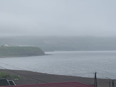 The image shows a view of the coast near Kuril'sk, Russia, under a heavy overcast sky. In the foreground, there is a dark-colored beach with some vegetation and debris. Several power lines are strung across the scene, supported by utility poles. Beyond the beach, the gray sea stretches towards a distant, fog-shrouded coastline. The land in the middle ground rises steeply, covered in green vegetation, with a few buildings visible on the top of the cliff. The overall atmosphere is somber and muted due to the weather conditions.