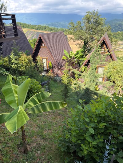 The image depicts a resort in Nizhnyaya Shilovka, Russia, with three triangular, A-frame cabins nestled among lush greenery and rolling hills. The cabins have brown, shingled roofs and wooden exteriors, with some adorned with string lights. A balcony with rope railings is visible on the leftmost cabin. In the foreground, large banana leaves dominate, with a small banana tree trunk to the left. A dark, grey statue of a deer stands in the yard between the cabins. The background reveals terraced fields or vineyards and hazy, blue mountains under a cloudy sky. The overall scene conveys a tranquil, natural setting ideal for a retreat.