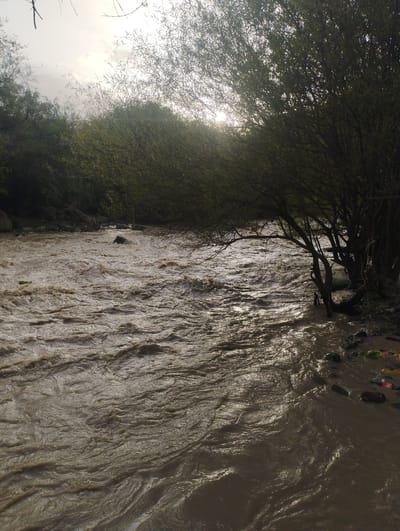 The image depicts a fast-flowing, muddy river in a natural setting. The riverbanks are lined with dense green foliage, with trees arching over the water. Sunlight filters through the branches, creating dappled light on the turbulent water. The water appears to be swollen and brown, suggesting recent heavy rainfall or meltwater.
In the foreground, the river's surface is a mosaic of ripples and currents, indicating a strong flow. On the right bank, several rocks are visible, and further along, some scattered litter, including plastic bottles and bags, is present. A dark, submerged object, possibly a rock or log, breaks the surface of the water in the mid-ground.
The overall scene suggests a wild, untamed natural environment. The time of day appears to be either early morning or late afternoon, given the angle and softness of the sunlight. The weather seems overcast, with the sun struggling to break through. There is no visible text in the image. The location context of Chaknak, Uzbekistan, implies this is a scene from a rural or natural area within that region. The mood conveyed is one of raw, powerful nature, with a slight melancholy introduced by the presence of litter.