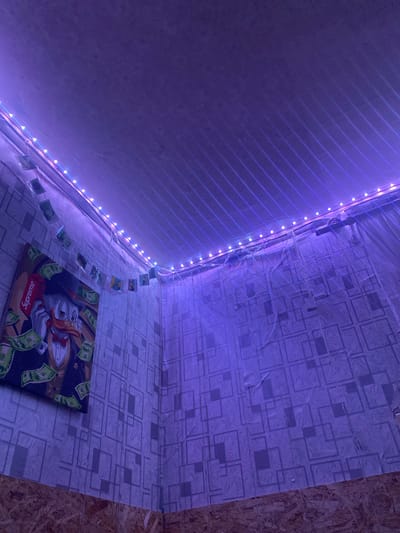In a room with patterned walls and a textured ceiling, an art piece featuring a character resembling Scrooge McDuck holding a red "Supreme" branded box and surrounded by dollar bills is displayed on the left wall. A string of small square photographs is suspended from the ceiling, running along the wall. The room is illuminated by purple LED strip lights positioned along the ceiling edge, casting a violet glow on the walls and ceiling. The floor area in the foreground is composed of rough, light-brown material. The scene appears to be an interior residential setting.
