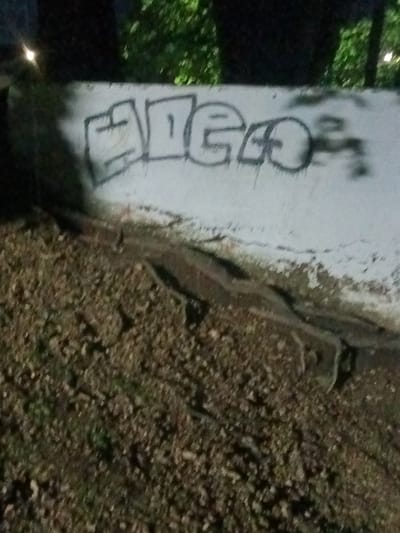 The image shows a concrete wall with graffiti that appears to read "ADEGO." The wall is at ground level, with dirt and vegetation at its base. Behind the wall is foliage, suggesting the location is a park or similar area with trees. The lighting is poor, indicating the image was taken at night. There are no people visible in the frame. Without additional information, pinpointing the exact location in Tahlequah, Oklahoma is not possible, though the presence of graffiti suggests it could be a less-maintained area, possibly a park.