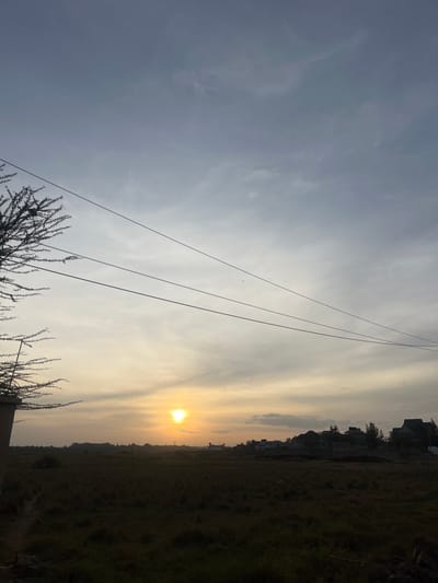The image displays an expansive outdoor landscape at either sunrise or sunset, situated within Gitothua ward, Kenya. The sky transitions from a light blue-grey at the upper portion to a warm yellow-orange gradient near the horizon. A distinct, bright yellow-orange sun is prominently visible low on the horizon, positioned slightly left of the image's center. Scattered clouds are present across the sky.
In the foreground on the far left, a section of a thorny tree with sparse branches and foliage is visible, partially obscuring a dark, indeterminate structure below it. A faint dirt path is discernible in the lower-left corner. The midground is dominated by a vast, open field of undeveloped land, covered with dry, brownish-green grass.
Three parallel utility lines traverse the upper-mid section of the frame, extending horizontally from left to right, appearing to originate from near the thorny tree. A small, dark, airborne object, potentially a bird, is faintly visible in the sky above these lines.
In the background, a cluster of residential-style buildings with dark roofs is visible on the right, interspersed with several trees. These structures appear to be either newly constructed or under various stages of construction. A faint silhouette of a distant utility pole or structure is observed near the horizon, towards the left of the background. No human figures or active interactions are observed within the scene.
