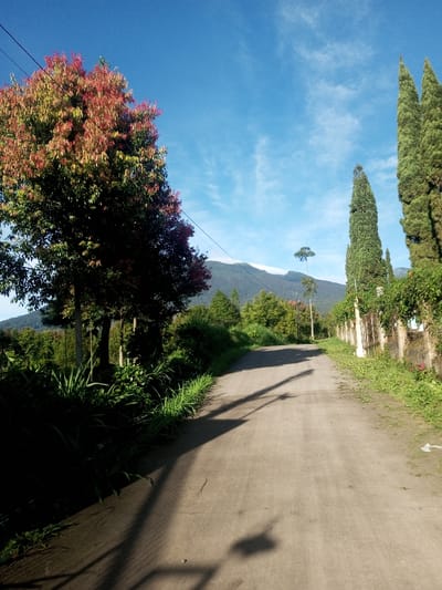 This image depicts a rural dirt road in Khouathineung, Laos, ascending gently into the distance under a clear blue sky with sparse, wispy white clouds. On the left side of the road, a large deciduous tree with prominent red and green foliage casts long shadows extending across the road and into the low-lying green vegetation bordering it. To the right, a stone or concrete wall, partially overgrown with green vines, runs parallel to the road, behind which stand several tall, slender evergreen trees. In the background, a mountain range is visible, with a horizontal band of white cloud or fog settled along its upper ridge. Overhead, power lines traverse the scene. No individuals, animals, or vehicles are present.