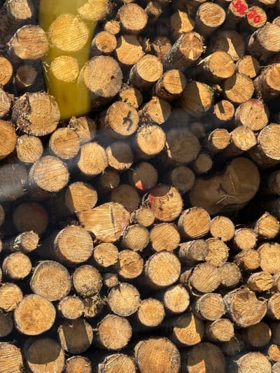 A dense stack of cut logs dominates the view. The logs, varying in size from small to large, exhibit circular cross-sections with visible wood grain and bark. Light brown hues prevail, accented by patches of shadow and some bright red paint on several logs. There is also a bright yellow spot in the bottom left. The overall texture is rough and natural.