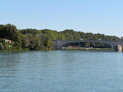 This image captures a wide, calm river with a concrete bridge spanning across it. The bridge is lined with trees on both banks, creating a lush green backdrop against a clear blue sky. Several vehicles, including cars and vans, are visible driving across the bridge, suggesting it is a busy thoroughfare. On the far bank, a few buildings and more trees are present, blending into the natural landscape. The water's surface is rippled, indicating a gentle breeze.
The scene appears to be set during the daytime, with the bright sunlight casting no obvious shadows, suggesting it could be late morning or early afternoon. The overall atmosphere is serene and picturesque, typical of a pleasant day in a riverside town.
One notable detail is a sign visible on the side of the bridge, though the text is too small to be decipherable. The presence of the river, the bridge, and the dense foliage strongly suggest an urban or suburban setting with significant natural elements. Given the location context of Avignon, France, this scene likely depicts a river such as the Rhône, with a bridge connecting parts of the city or its surroundings. No people are clearly discernible in the image, but the activity of vehicles on the bridge implies human presence and movement.