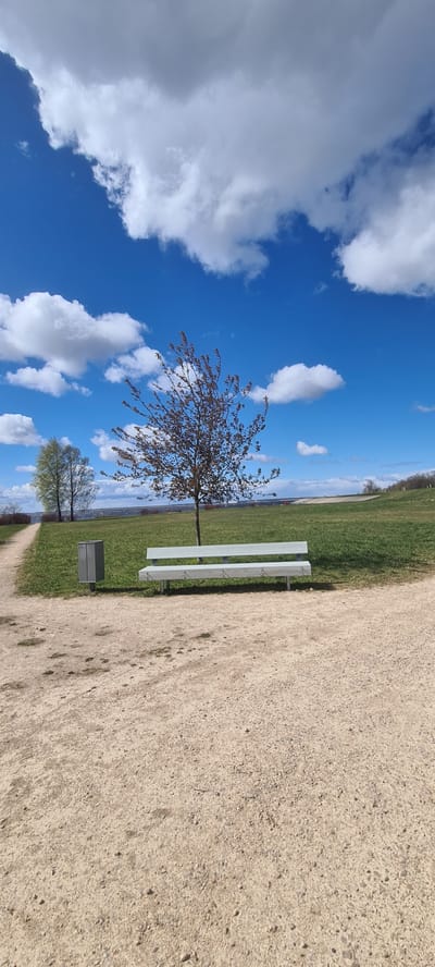 The image shows a park scene in Salaspils, Latvia. A sandy path occupies the right side of the frame. Adjacent to the path is a grassy area featuring a white bench and a trash receptacle. Two trees stand near the bench, partially obscuring the view of a body of water in the background. The sky is blue with scattered clouds.