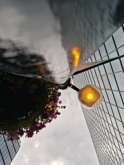 The image shows an upward-angle view of a hanging basket of pink petunias, a light fixture, and a glass-paneled building. The hanging basket is positioned above and to the left of the light fixture, with the petunias spilling over the sides. The light fixture is a spherical glass bulb containing a warm yellow light, hanging from a dark arm. To the right of the light fixture, a large, reflective, dark-colored post or pole is visible, also reflecting the yellow light. Below and to the left of the light fixture and pole is the facade of a modern building, composed of many dark-framed glass panes arranged in a grid pattern. The sky above is overcast and a muted gray, suggesting a cloudy or potentially rainy day. The overall impression is an urban setting, possibly a street or plaza, with decorative elements and contemporary architecture. The time of day appears to be either early morning or late afternoon, given the dim natural light and the illuminated artificial light. There are no people or animals visible in the image. There is no visible text.