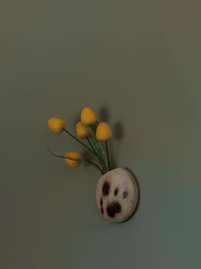 The image shows a wall-mounted decorative item with yellow, ball-shaped flowers. The item is a light-colored ceramic pot with a dark, abstract pattern resembling a paw print. The background is a solid, muted green wall. There are no people or actions depicted in the image. The scene does not provide any information about the city of Lyubimets, Bulgaria.