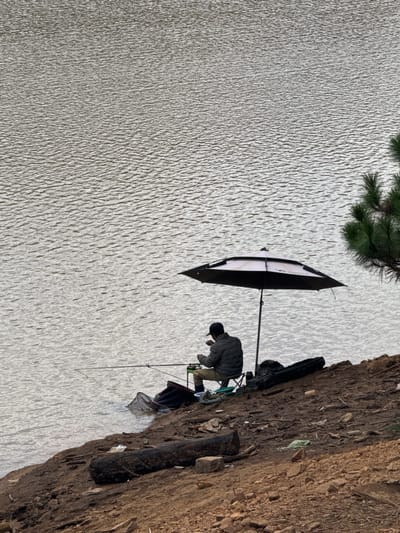 A lone fisherman sits on a folding chair on the rocky, debris-strewn bank of a calm lake, fishing under a large, open umbrella. The fisherman, wearing a dark jacket and cap, holds a fishing rod that extends into the water. A fishing net is partially submerged at the water's edge. To the right of the fisherman, a black fishing rod case rests on the ground. Behind the umbrella, a black bag is placed on the ground. The lake's surface is rippled, reflecting the muted light of what appears to be an overcast day. A portion of a pine tree is visible in the upper right corner of the image. The ground on the bank is a mix of dirt, rocks, twigs, and scattered litter. The overall scene suggests a peaceful, solitary moment of angling in a natural setting, likely in Lang Biang - Da Lat, Vietnam, given the characteristic landscape and vegetation.