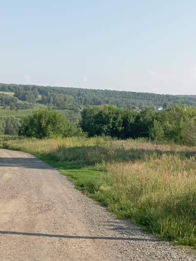 The image depicts a rural landscape on a clear day. In the foreground, a gravel road curves from the bottom left of the frame upwards and to the right, bordered by tall, dry grass and green vegetation. Beyond the road, a lush green forest stretches across the middle ground, interspersed with rolling hills and patches of what appear to be agricultural fields or meadows. In the far distance, a dense line of trees forms the horizon, against a pale blue sky with faint white clouds. There are no people or animals visible in the image. The scene appears to be a tranquil countryside setting in or near the village of Новокопылово, Russia, given the presence of a few scattered buildings with roofs visible amongst the trees in the mid-ground, suggesting human habitation within the rural environment.