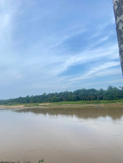 The image depicts a serene natural scene of a river with a lush green bank lined with palm trees. The sky is a clear blue with wispy white clouds, creating a tranquil atmosphere. The river's water is a murky brown, reflecting the sky and trees. A small blue boat is visible on the water, anchored near the bank. The foreground shows a small patch of grass and a few leaves, suggesting the viewer is positioned on the riverbank. The overall scene evokes a sense of peace and natural beauty, characteristic of a rural Indonesian landscape. This location appears to be near the city of Air Molek, Indonesia, a place known for its natural beauty and agricultural landscapes.
