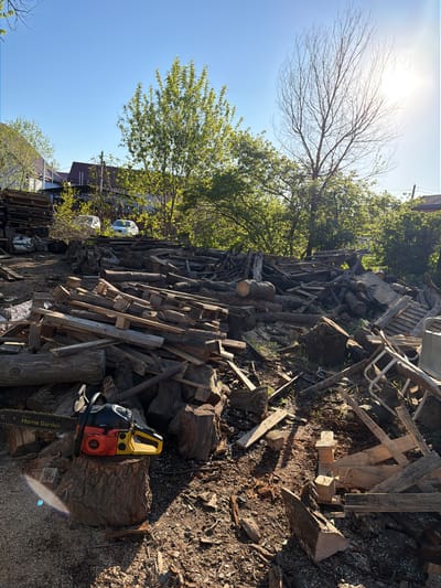 A daytime shot in Staraya Stanitsa, Russia, shows a sunlit backyard scene filled with a large pile of stacked logs, planks, and firewood. The pile stretches from the lower left to the upper center of the frame. A chainsaw, black, orange, and yellow in color, rests on a tree stump in the lower right corner. Several trees are visible behind the wood pile, with a mix of bare branches and green foliage. In the background, hints of buildings and a light-colored vehicle can be seen. The sky is a clear blue. Scattered debris and a few pieces of furniture are mixed within and around the wood pile.