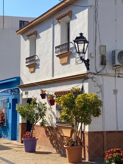 The image captures a street scene in Cancelada, Spain, on a sunny day, likely during daylight hours due to the bright sunlight and strong shadows. The focal point is the facade of a white building with distinctive architectural elements. The building has a light brown trim along the roofline and around the windows. Two small balconies with black wrought-iron railings protrude from the upper story, each supported by a decorative, curved bracket. A traditional black street lamp with a deer-shaped base is mounted on the wall to the right of the balconies, with a decorative tiled plaque underneath it.
Below the upper story, a horizontal decorative band runs across the building, featuring a patterned terracotta tile design. Several potted plants are placed along this level, with some on the wall and others on the ground. Notably, a large purple planter holds a green tree with red-leafed undergrowth, and a large terracotta planter to its right contains a similar tree with yellow-green leaves.
To the left of the main building, part of an adjacent structure is visible, painted a bright blue. This blue section appears to be an entrance or a shaded alcove with a wrought-iron gate and awning. The ground in front of the buildings is paved with patterned cobblestones, and shadows from the buildings and trees are cast across it. The sky above is a clear, bright blue. The scene is devoid of any people or animals. The overall impression is one of a well-maintained, charming European street with vibrant colors and architectural details.