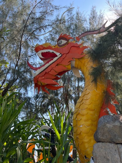 This image shows a large, colorful dragon sculpture positioned outdoors amidst greenery and trees. The dragon is predominantly orange and yellow, with intricate detailing on its head, scales, and tail. Its mouth is open, revealing red and white accents. The background consists of lush green foliage, slender trees with needle-like leaves, and a bright blue sky. Two large, grey rocks are visible in the lower right portion of the frame. The setting appears to be a public space, possibly a park or garden, in Ninh Ich, Vietnam.
