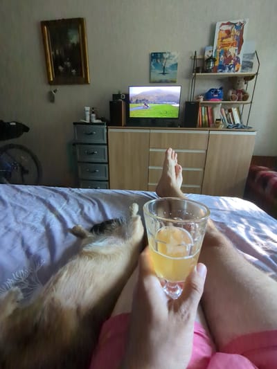 The image depicts a domestic indoor scene, possibly a bedroom or living room. A person's legs and hand holding a glass of a yellow beverage are in the foreground, resting on a bed with a purple patterned duvet. A small, light-colored dog is lying on its back on the bed next to the person's legs. In the background, a television displays a landscape scene. To the left of the TV, a framed painting hangs on the wall, and a bicycle wheel is partially visible. To the right of the TV, a wooden cabinet stands with shelves above it containing various items, including books, a stuffed toy, and a framed picture. The overall environment suggests a relaxed, informal setting. There is no identifiable information that places this scene specifically in the city of Boryspil, Ukraine.