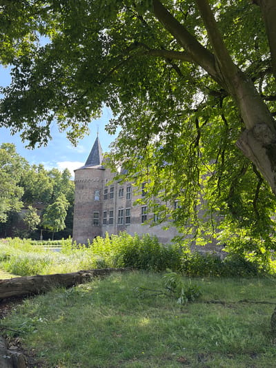 The image shows a view of the castle in the city of Helmond, Netherlands. The castle is constructed of red brick and features a conical tower with a dark roof. It is surrounded by lush green trees and vegetation. In the foreground, a large fallen tree trunk lies on the grass. The scene is illuminated by bright sunlight, creating dappled light and shadow patterns on the ground and through the leaves of the trees. The sky above is blue with scattered white clouds.