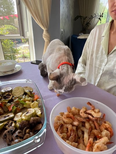 A domestic cat with gray fur and a pink collar is eating from a table set with two dishes of food. The cat is positioned in the center of the frame, leaning over the table to access food. One dish in the foreground contains cooked shrimp, while another dish to the left holds roasted vegetables, including zucchini and mushrooms. In the background, a person wearing a pale green silk shirt is partially visible on the right side of the frame, with their face obscured. A window with a view of greenery and a red banner is visible behind the cat. The scene appears to be set indoors, likely in a dining area. The image does not provide information about the specific location within Veljaminovo, Russia.
