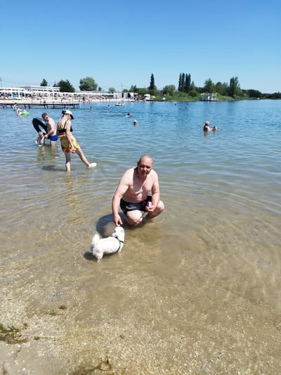 In Verbizh, Ukraine, a man is crouching at the edge of a lake, facing a small white dog that is also in the shallow water. The man is wearing dark swim shorts. The dog has a green collar with a leash. In the background, other people are visible in the lake, some swimming and others walking along the shore. The shore is lined with white structures, possibly cabanas or beach umbrellas, and trees. The sky is clear and blue, indicating a sunny day.