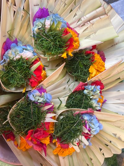 The image shows a close-up view of several Balinese offerings, known as "Canang Sari," arranged on a surface that appears to be a woven palm leaf mat. The offerings are constructed from woven palm leaves forming small, boat-like vessels. Each vessel is filled with a variety of colorful flowers, including vibrant red, orange, yellow, blue, and purple petals. Green grass or shredded leaves are also present in abundance within each offering, creating a lush and textured appearance. The offerings are intricately arranged, suggesting a cultural or religious context. The overall impression is one of delicate craftsmanship and natural beauty. There are no people or discernible actions or interactions visible in the image. The setting is not explicitly identifiable as Mendoyo, Indonesia, but the cultural artifacts strongly suggest a Balinese origin, where such offerings are common.