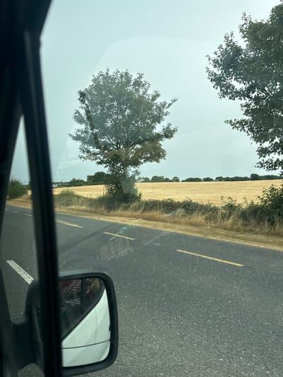 The image was taken from the perspective of someone inside a vehicle, looking out the passenger side window and side mirror. The scene depicts a rural road with a field of harvested crops on the right side. A single tree stands prominently in the field, with other trees and bushes lining the roadside and in the distance. The sky is overcast, suggesting a cloudy day. The road has yellow lane markings. The side mirror reflects the interior of the vehicle, showing what appears to be striped fabric, possibly seats or clothing, and the vehicle's white exterior. The location is identified as Killcommon, Ireland.