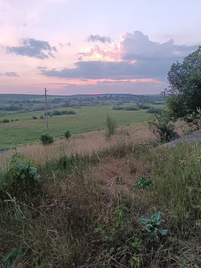 The image captures a rural landscape at dusk, featuring a field with tall, dry grass in the foreground and a green meadow stretching towards a distant village. The sky is painted with soft hues of pink and purple, with scattered clouds catching the last light of the setting sun. A lone utility pole stands in the middle ground, marking the presence of infrastructure in the otherwise natural scenery. A cluster of trees borders the right side of the frame, adding depth to the composition. The overall impression is one of tranquility and the quiet beauty of nature.